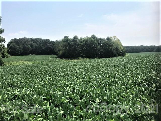 0 Russell Pope Road Wingate, NC 28174 - Photo 2 of 9 a view of a lush green space