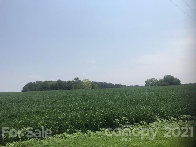 0 Russell Pope Road Wingate, NC 28174 - Photo 3 of 9 a view of a field of grass and trees