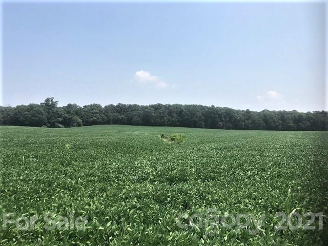 0 Russell Pope Road Wingate, NC 28174 - Photo 4 of 9 a view of a green field with plants
