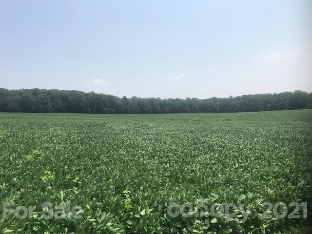 0 Russell Pope Road Wingate, NC 28174 - Photo 6 of 9 a view of park with green space