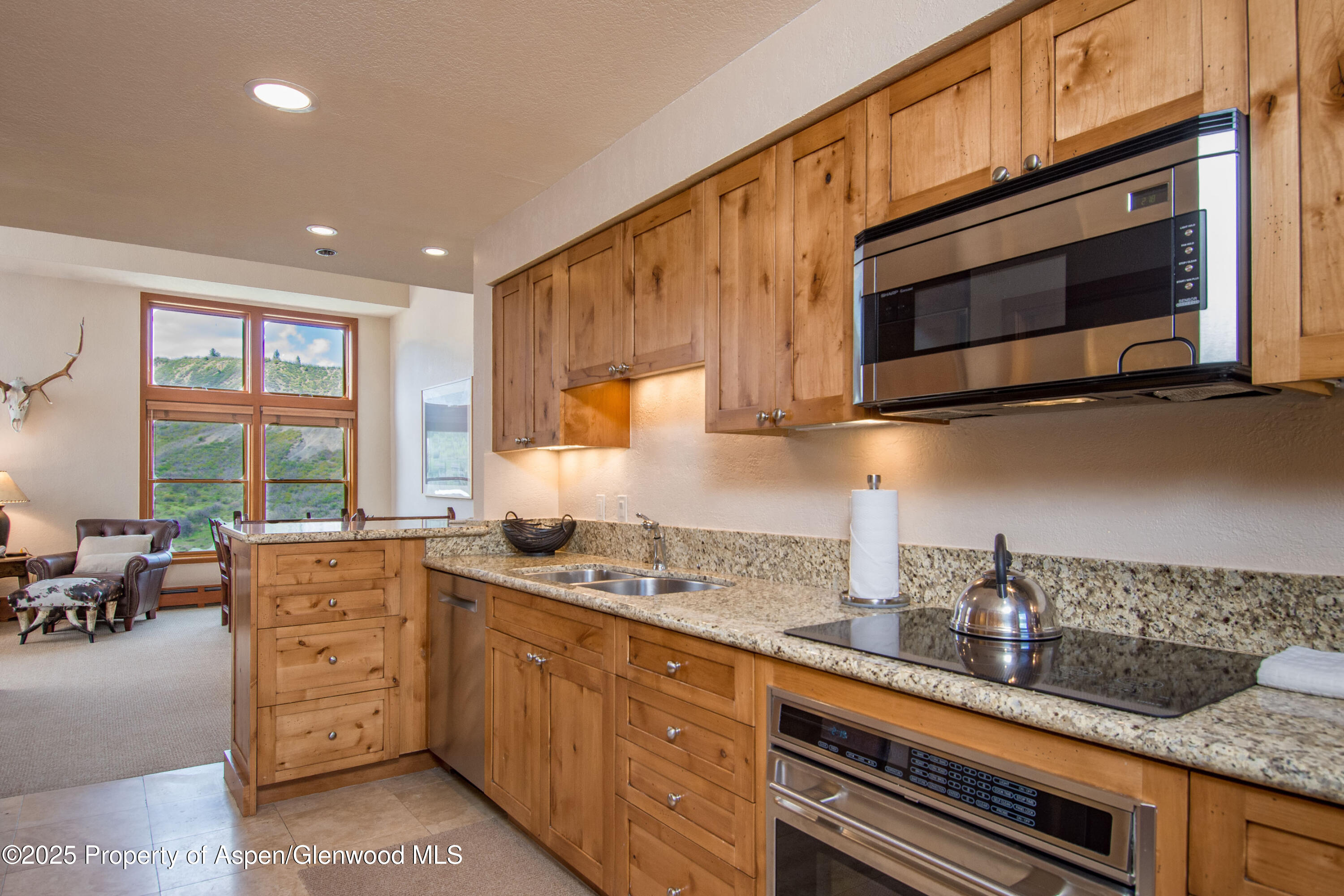 425 Wood Road, Unit 48 Snowmass Village, CO 81615 - Photo 15 of 39 a kitchen with stainless steel appliances granite countertop a stove a sink and a microwave