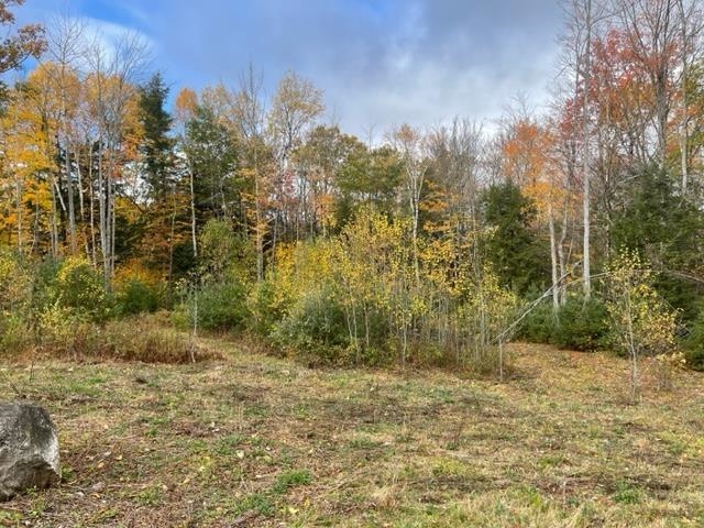 158 Goose Hollow Road Thornton, NH 03285 - Photo 30 of 38 Gallery Image 30
