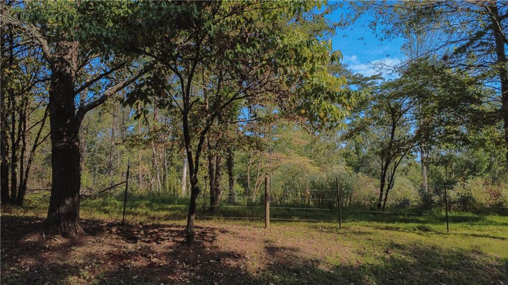 744 Moores Gin Road Fairmount, GA 30139 - Photo 3 of 5 a view of outdoor space with trees all around