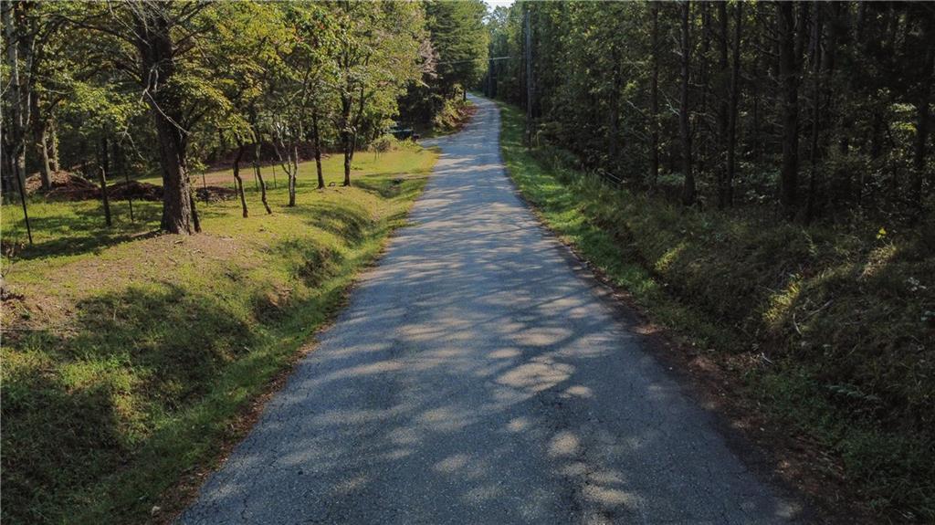 744 Moores Gin Road Fairmount, GA 30139 - Photo 4 of 5 a view of park with large trees