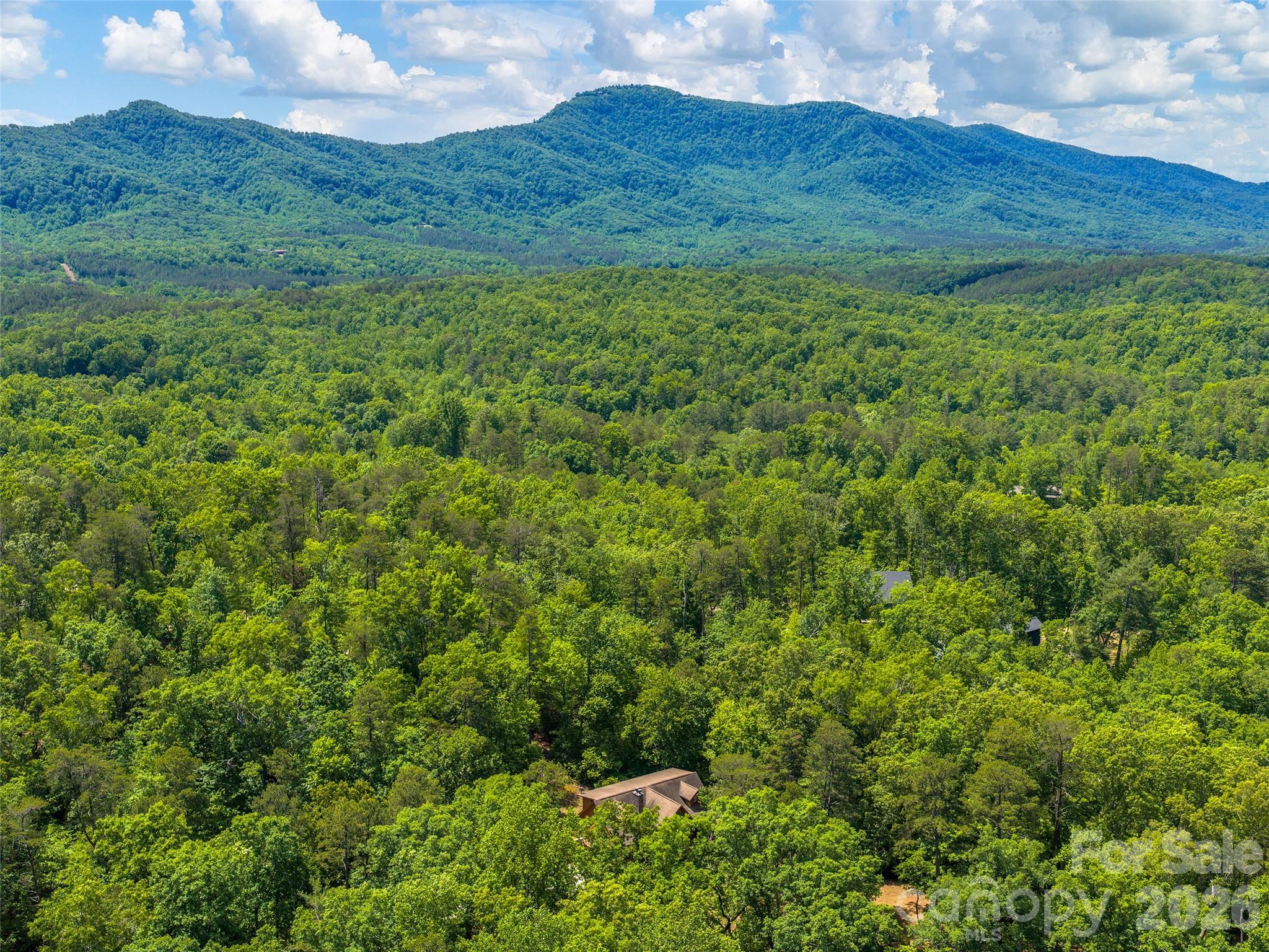 413 Green Hills Road Mill Spring, NC 28756 - Photo 48 of 48 a view of a lush green hillside and a houses
