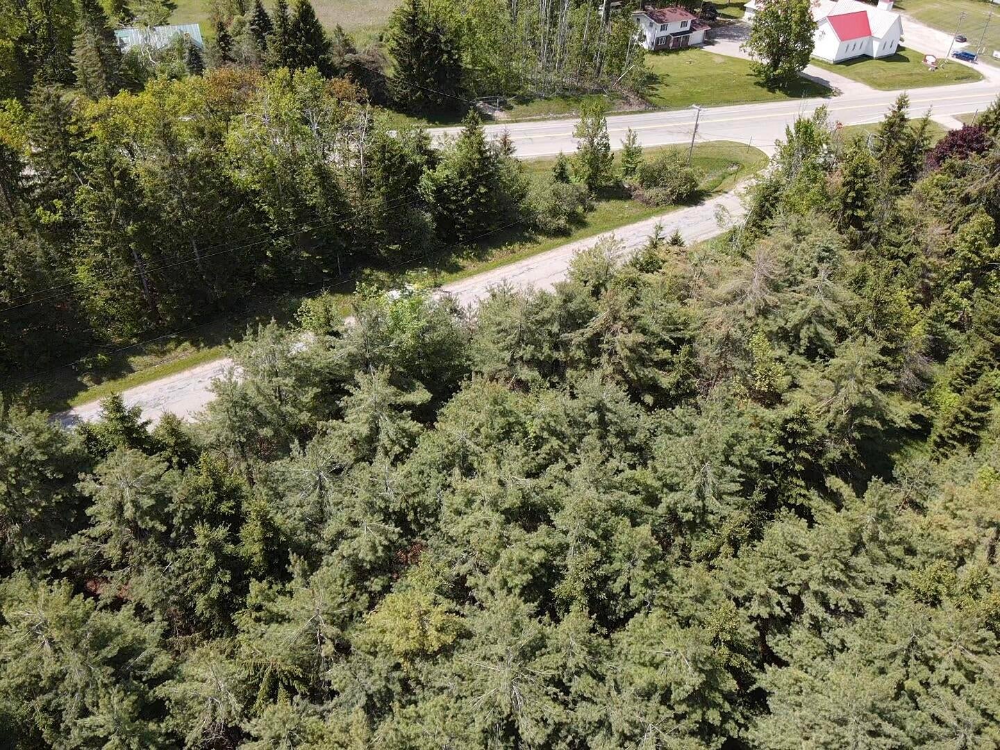 Lot 2 East West Resort Road Alanson, MI 49706 - Photo 4 of 6 Lot 2 b