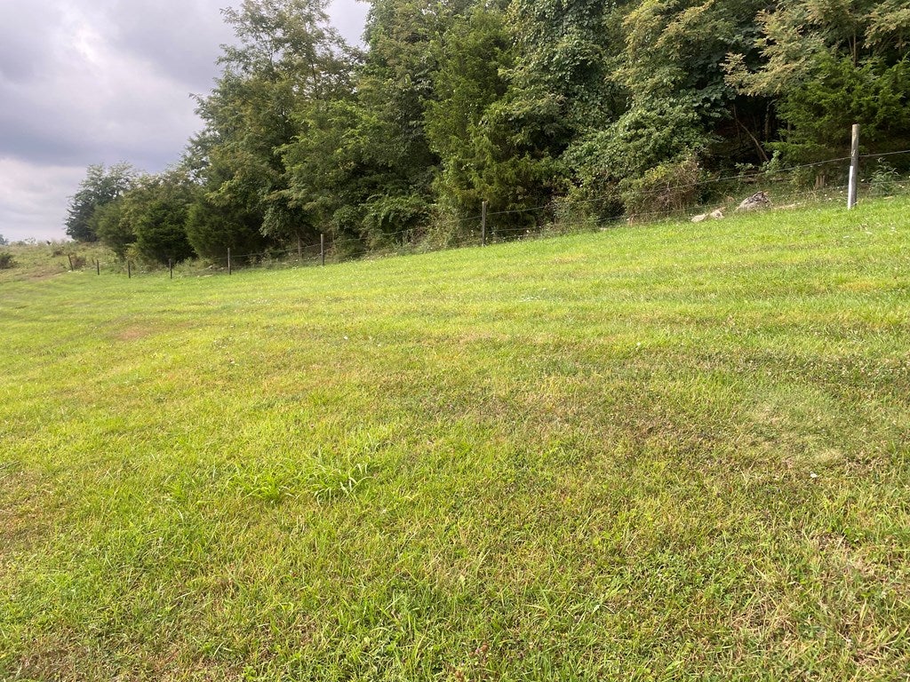 3915 Mountain Road Cedar Bluff, VA 24609 - Photo 8 of 43 Gallery Image 8