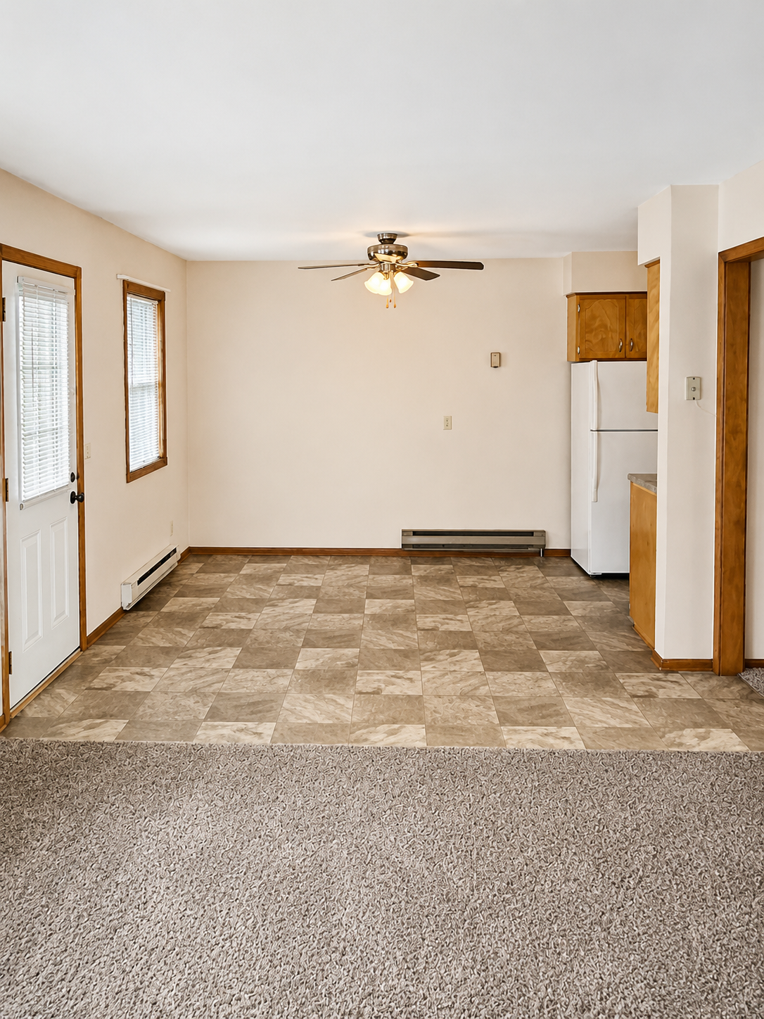 316 South 3rd Street Milan, MN 56262 - Photo 11 of 18