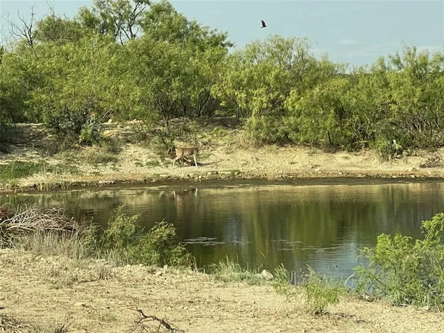 a view of a park with swings and slides