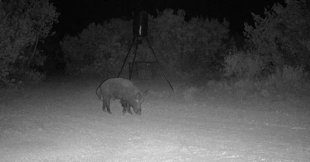 a picture of street view