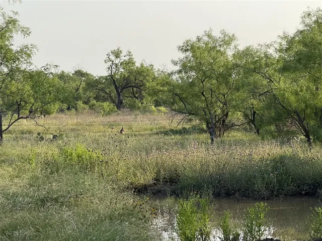 a view of an outdoor space and seating area