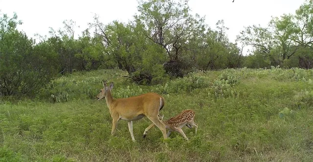 a view of parking area