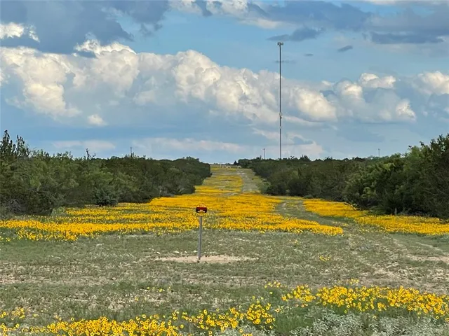 a view of a city with lush green forest