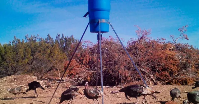 $1,350,000 | 18099 Fm 2134, Millersview, TX 76862