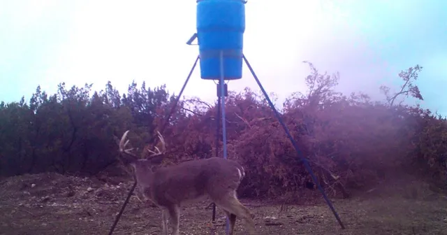 $1,350,000 | 18099 Fm 2134, Millersview, TX 76862