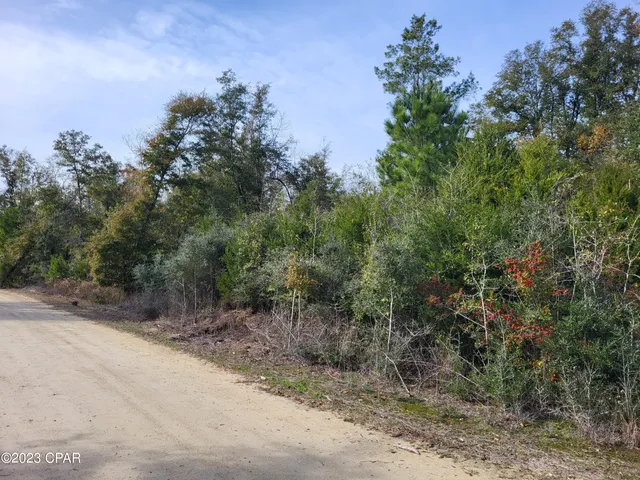 $39,900 | 0 Northeast Morgan Tucker Road, Unit LOT 1, Altha, FL 32421