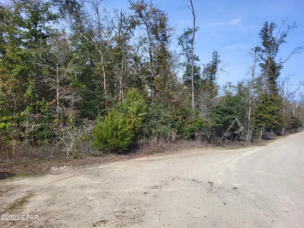 $39,900 | 0 Northeast Morgan Tucker Road, Unit LOT 1, Altha, FL 32421