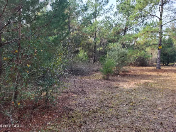 $39,900 | 0 Northeast Morgan Tucker Road, Unit LOT 1, Altha, FL 32421
