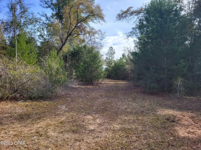 $39,900 | 0 Northeast Morgan Tucker Road, Unit LOT 1, Altha, FL 32421