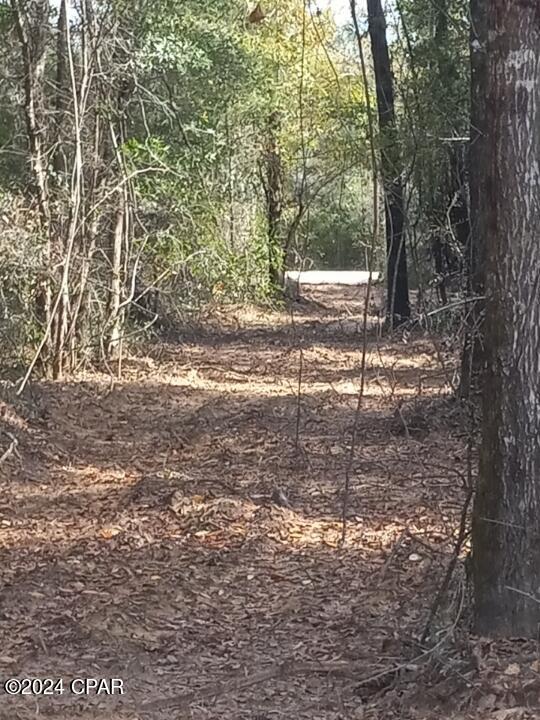 0 Northeast Morgan Tucker Road, Unit LOT 1 Altha, FL 32421 - Photo 24 of 27