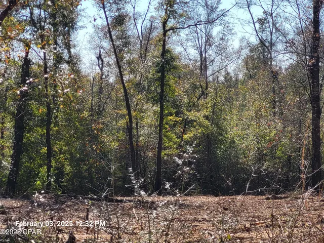 $39,900 | 0 Northeast Morgan Tucker Road, Unit LOT 1, Altha, FL 32421