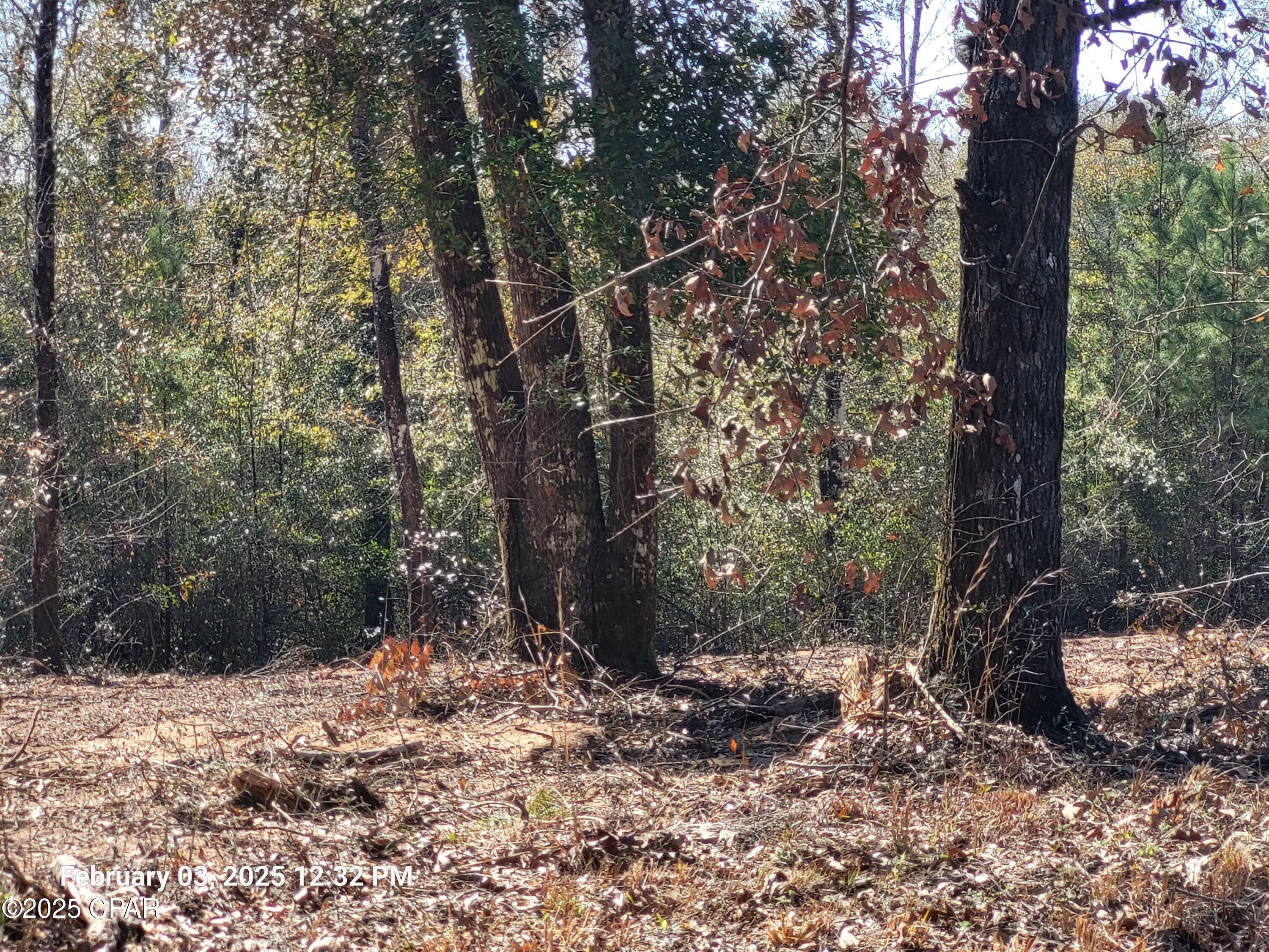 0 Northeast Morgan Tucker Road, Unit LOT 1 Altha, FL 32421 - Photo 3 of 27