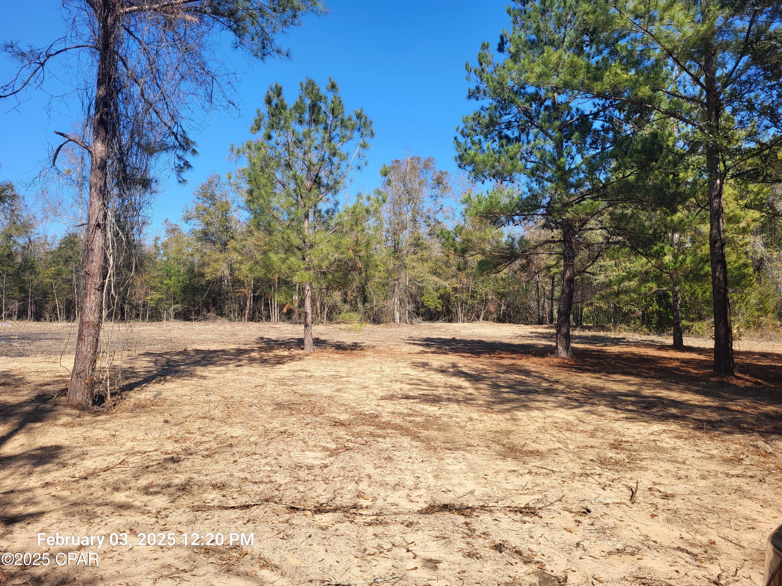 0 Northeast Morgan Tucker Road, Unit LOT 1 Altha, FL 32421 - Photo 5 of 27