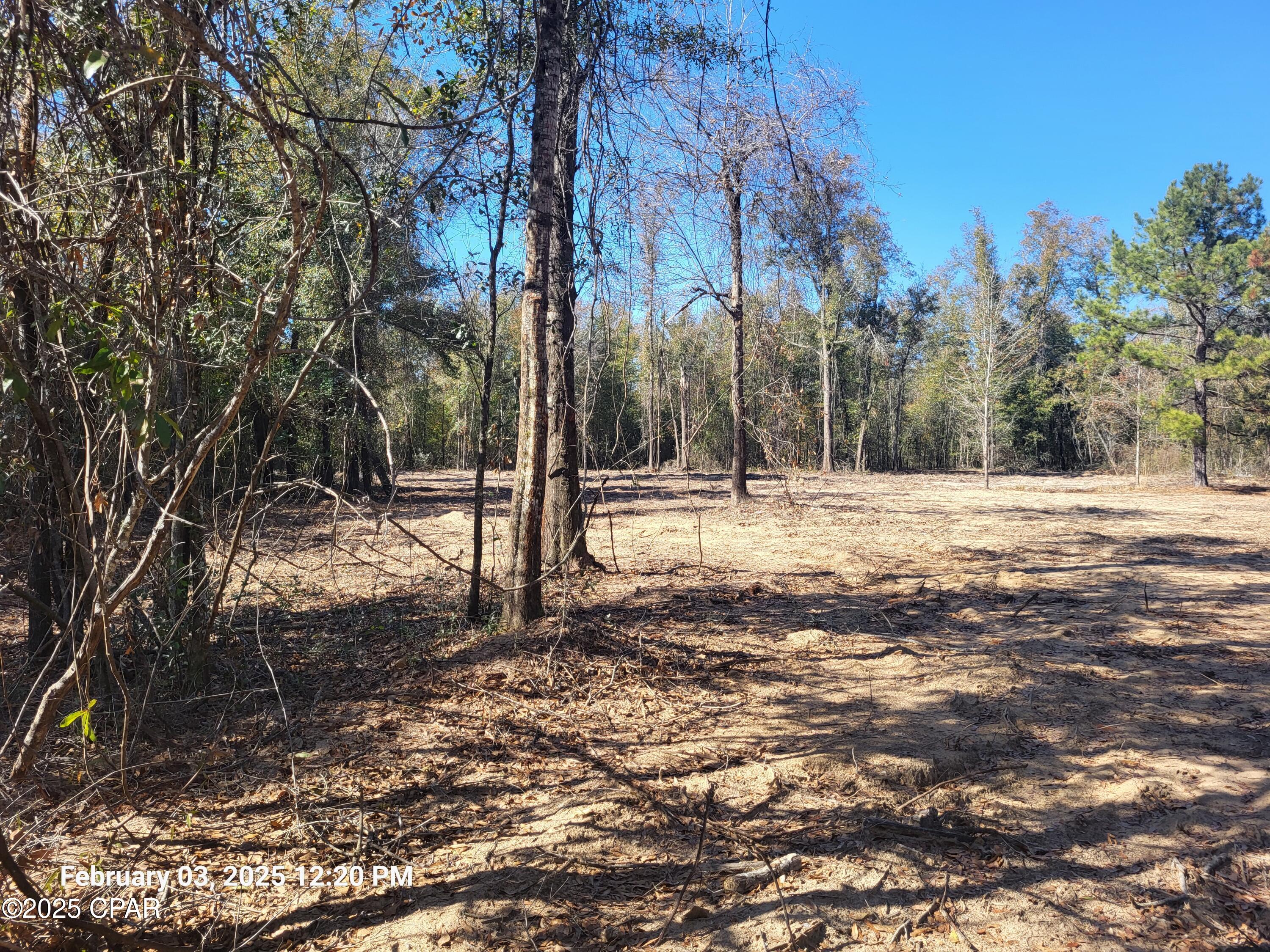 0 Northeast Morgan Tucker Road, Unit LOT 1 Altha, FL 32421 - Photo 6 of 27