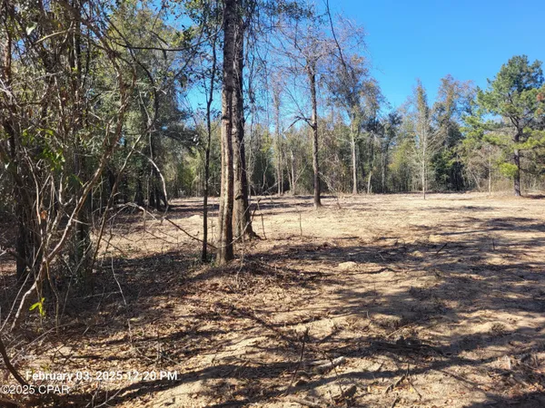 $39,900 | 0 Northeast Morgan Tucker Road, Unit LOT 1, Altha, FL 32421