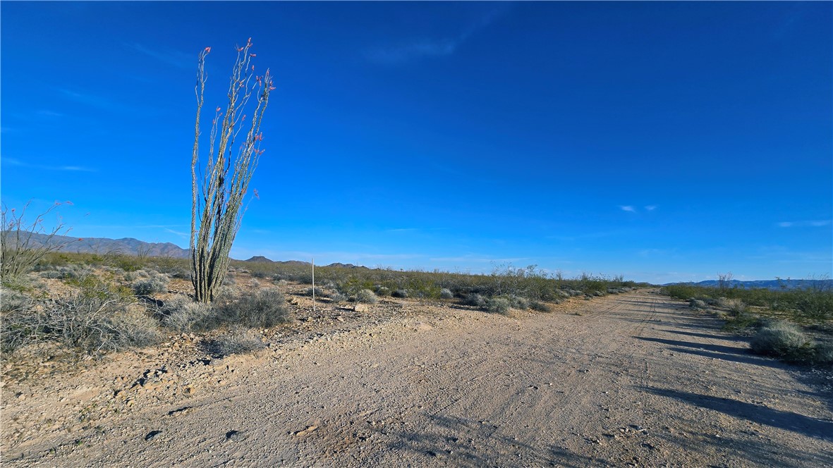 245-24-060 South Roll Road Yucca, AZ 86438 - Photo 3 of 26 a view of a road from a beach