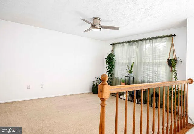 a view of entryway with flower pot