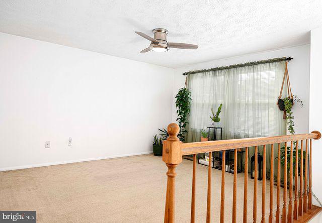 7 Freedom Court Baltimore, MD 21220 - Photo 4 of 45