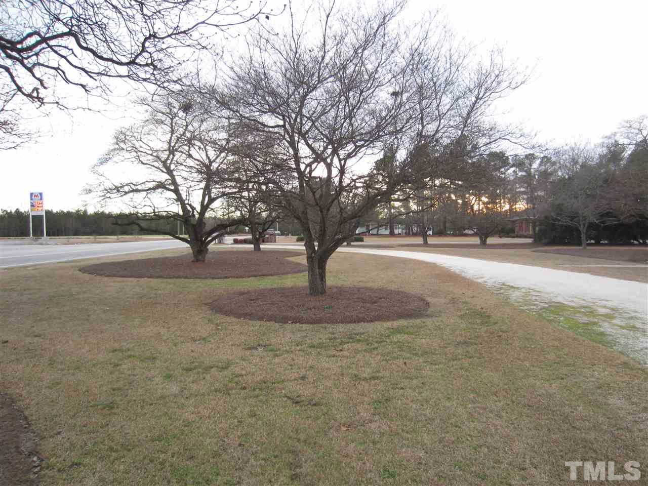 7045 Maxwell Road Stedman, NC 28391 - Photo 3 of 20