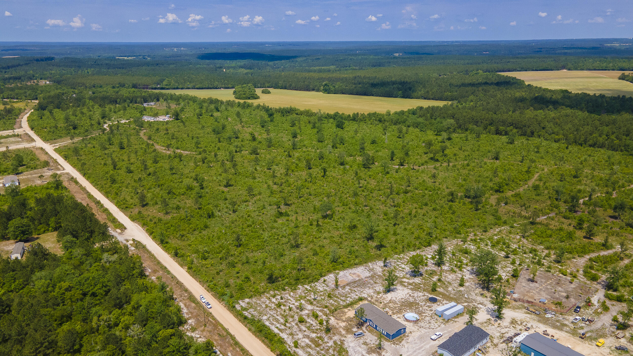 Lot 15 Old Shoals Road Road Monetta, SC 29105 - Photo 3 of 4 Gallery Image 3