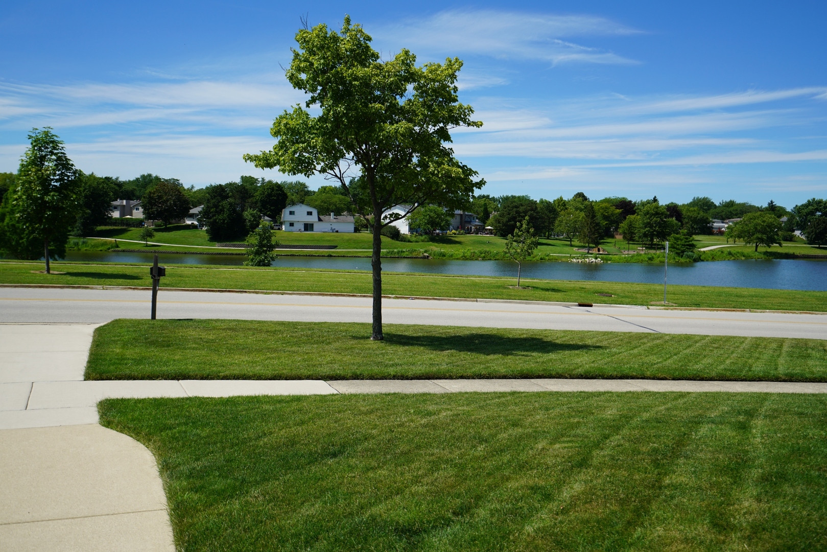1365 Freeman Road Hoffman Estates, IL 60192 - Photo 42 of 49 a view of a park and trees in the background