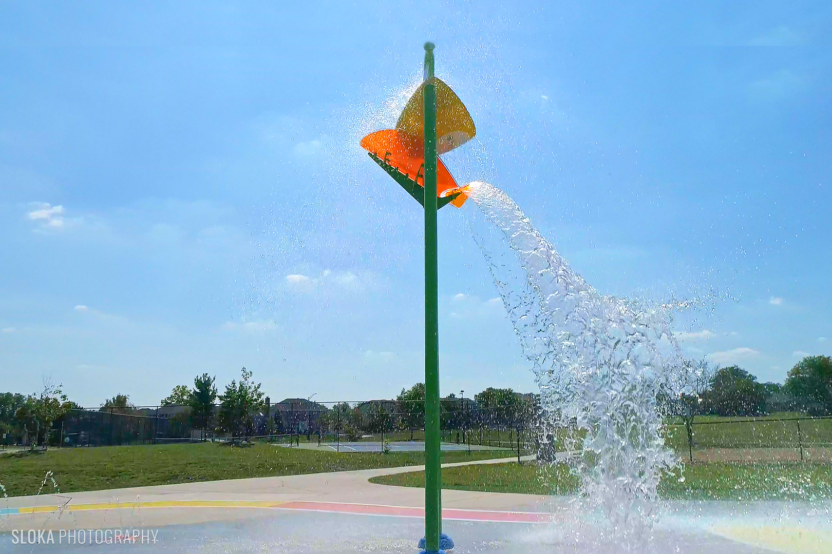 1365 Freeman Road Hoffman Estates, IL 60192 - Photo 46 of 49 a view of a park