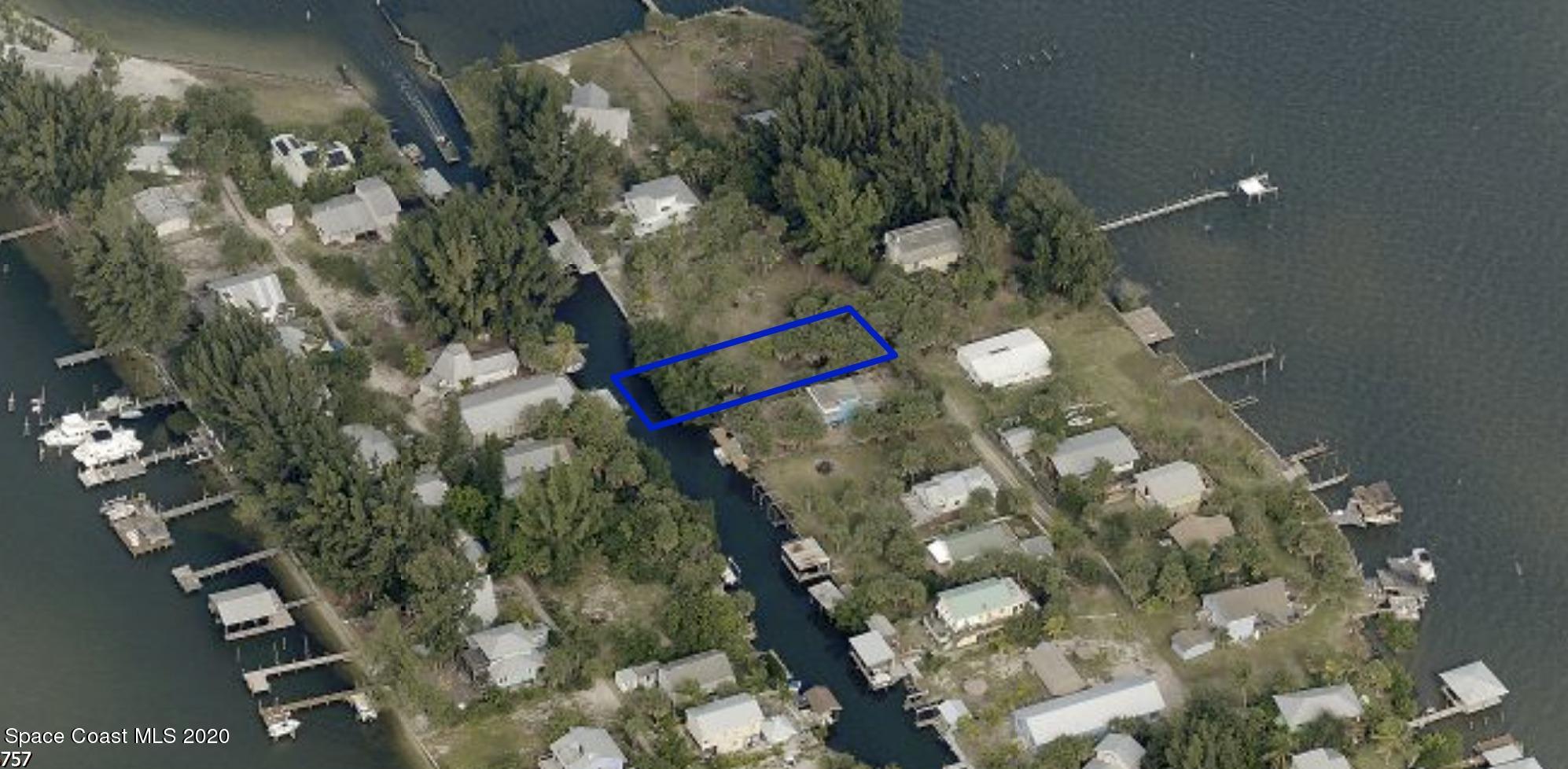 a picture of flowers in a yard