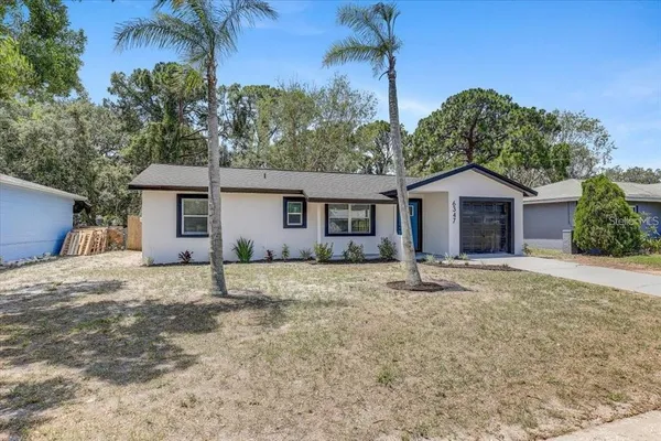 a house with a yard and a large tree