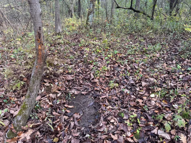 $399,000 | S3399 County Road P, Fountain City, WI 54629