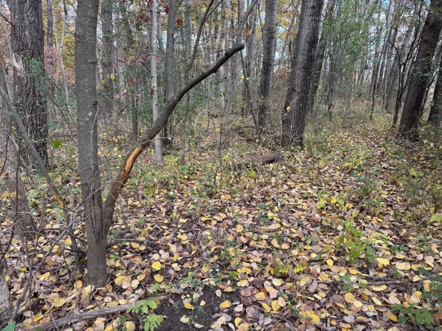 $399,000 | S3399 County Road P, Fountain City, WI 54629