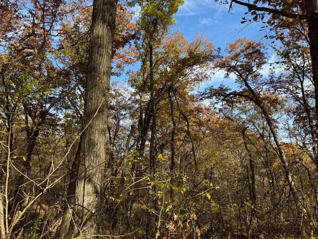 $399,000 | S3399 County Road P, Fountain City, WI 54629