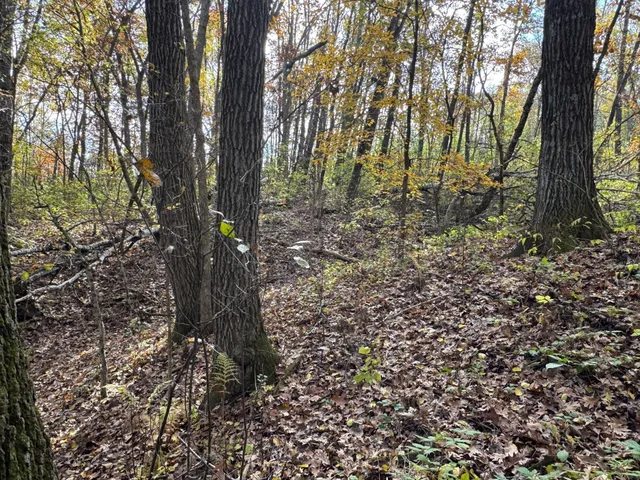 $399,000 | S3399 County Road P, Fountain City, WI 54629