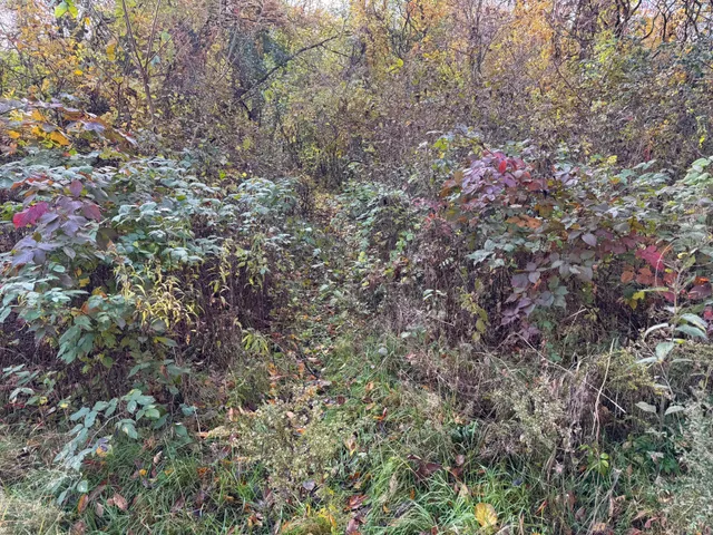 $399,000 | S3399 County Road P, Fountain City, WI 54629