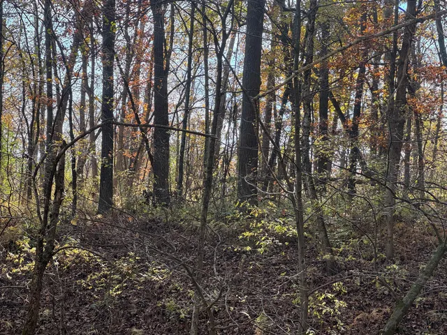 $399,000 | S3399 County Road P, Fountain City, WI 54629