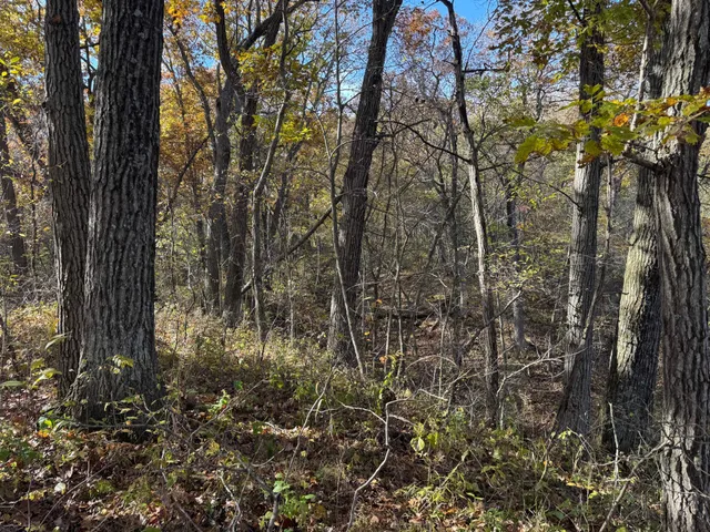 $399,000 | S3399 County Road P, Fountain City, WI 54629