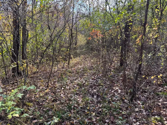 $399,000 | S3399 County Road P, Fountain City, WI 54629