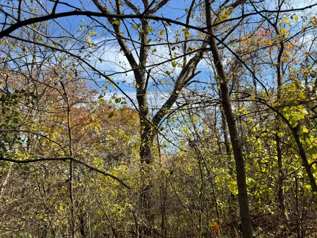 $399,000 | S3399 County Road P, Fountain City, WI 54629