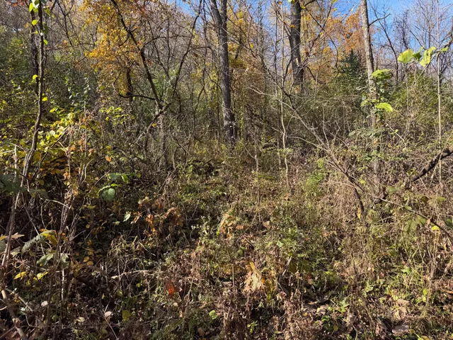 $399,000 | S3399 County Road P, Fountain City, WI 54629