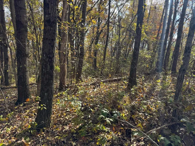 $399,000 | S3399 County Road P, Fountain City, WI 54629