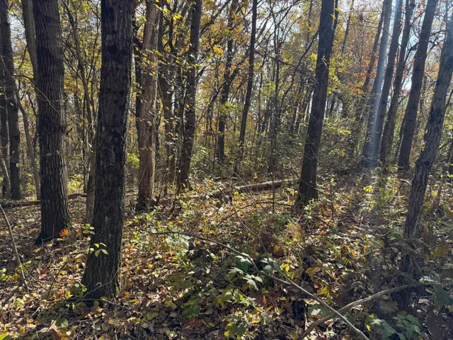 $399,000 | S3399 County Road P, Fountain City, WI 54629